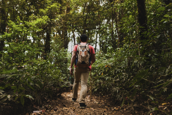 Zonas naturales cercanas a Bogotá ideales para hacer senderismo o descansar